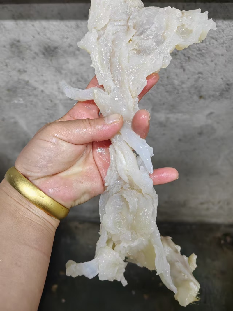 水发副筋全国可发量大价优对接各大市场商超电商