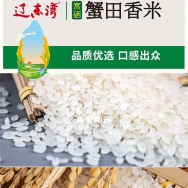 辽东湾盘锦富硒蟹田香米软糯香甜5kg