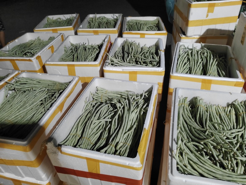 豆角