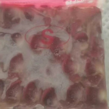 鸭胗，小白条鸭胗，一公斤20-23个，工厂发货，纯干