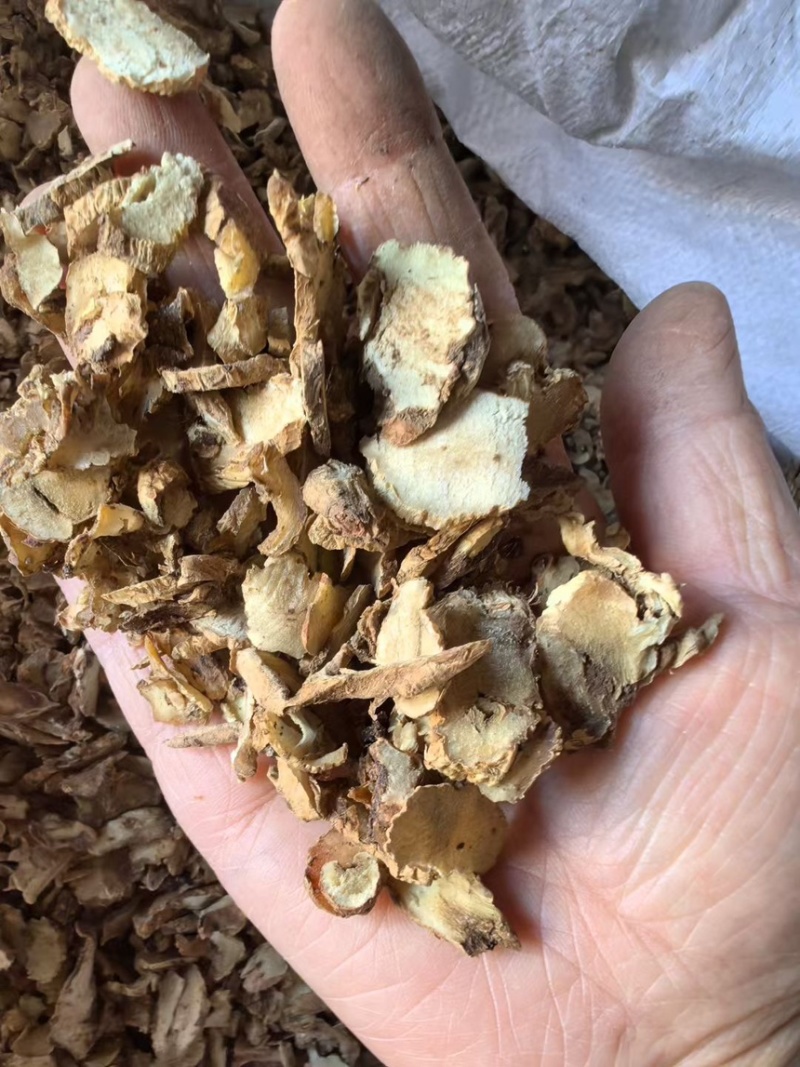 【家种知母片】家种地产知母片无硫纯干货颜色好保含量