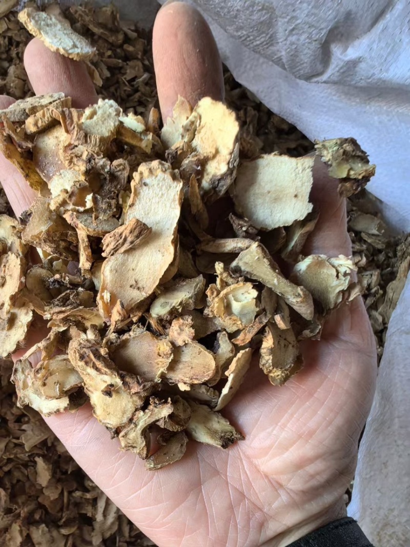 【家种知母片】家种地产知母片无硫纯干货颜色好保含量
