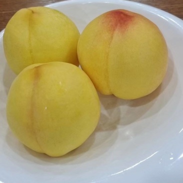 芒果味锦绣黄桃618