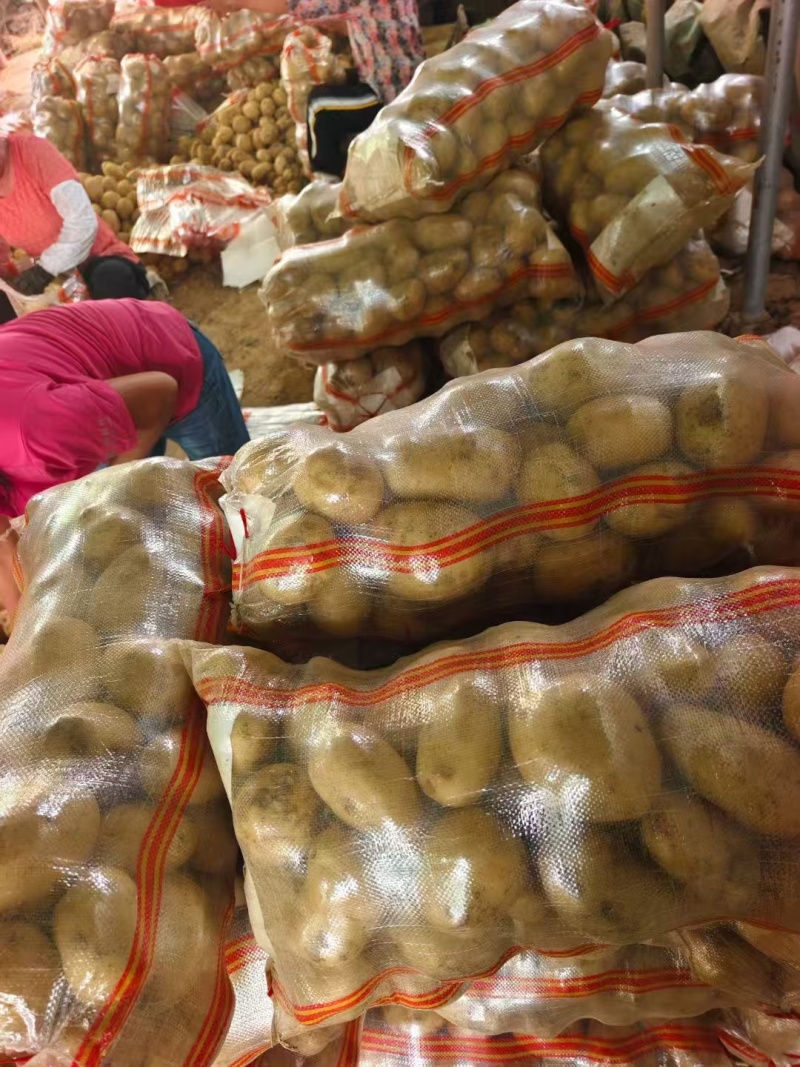 陕西精品土豆大量上市，支持各种包装，物美价廉，可以视频看