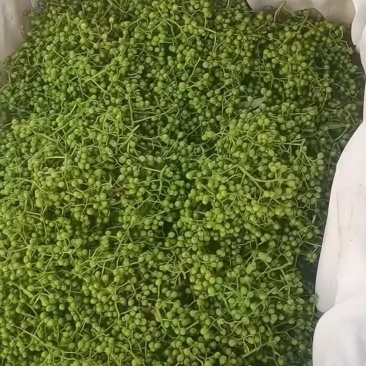 鲜花椒大量上市，产地直发，品质保证，服务周到，诚信经营