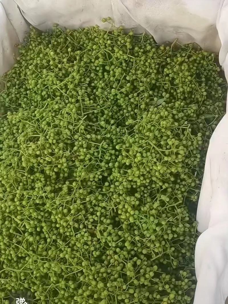 鲜花椒大量上市，产地直发，品质保证，服务周到，诚信经营