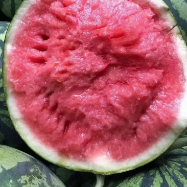 西瓜
