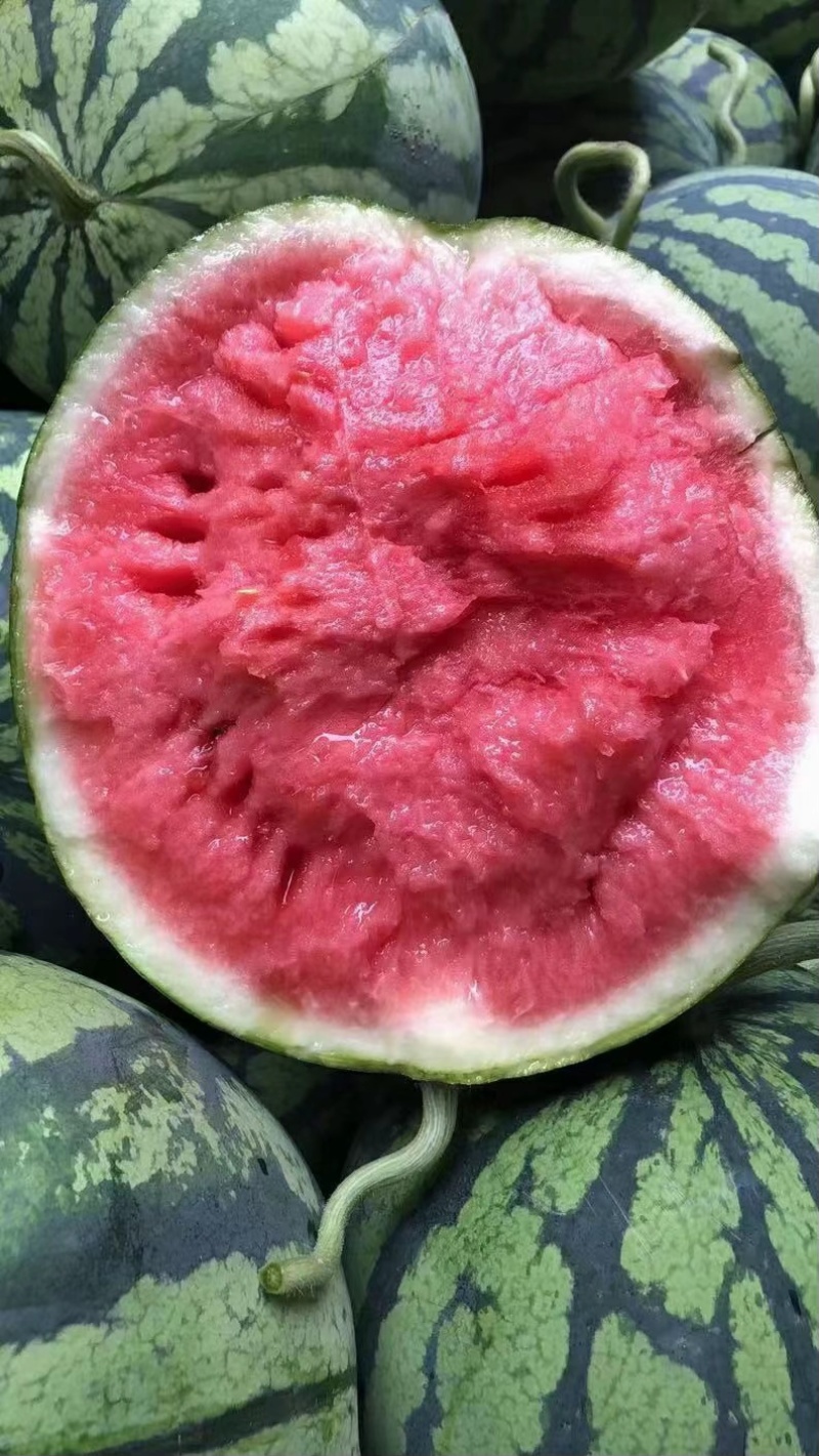 西瓜