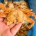 【香辣蟹】香酥蟹酥脆海鲜半成品酒店下酒菜天妇罗油炸螃蟹