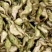 青菱角嫩菱角老菱角，产地直发量大从优欢迎新老顾客大驾光临