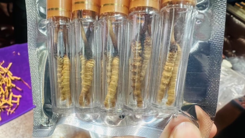 青海祁连网红野生虫草冷运真空，