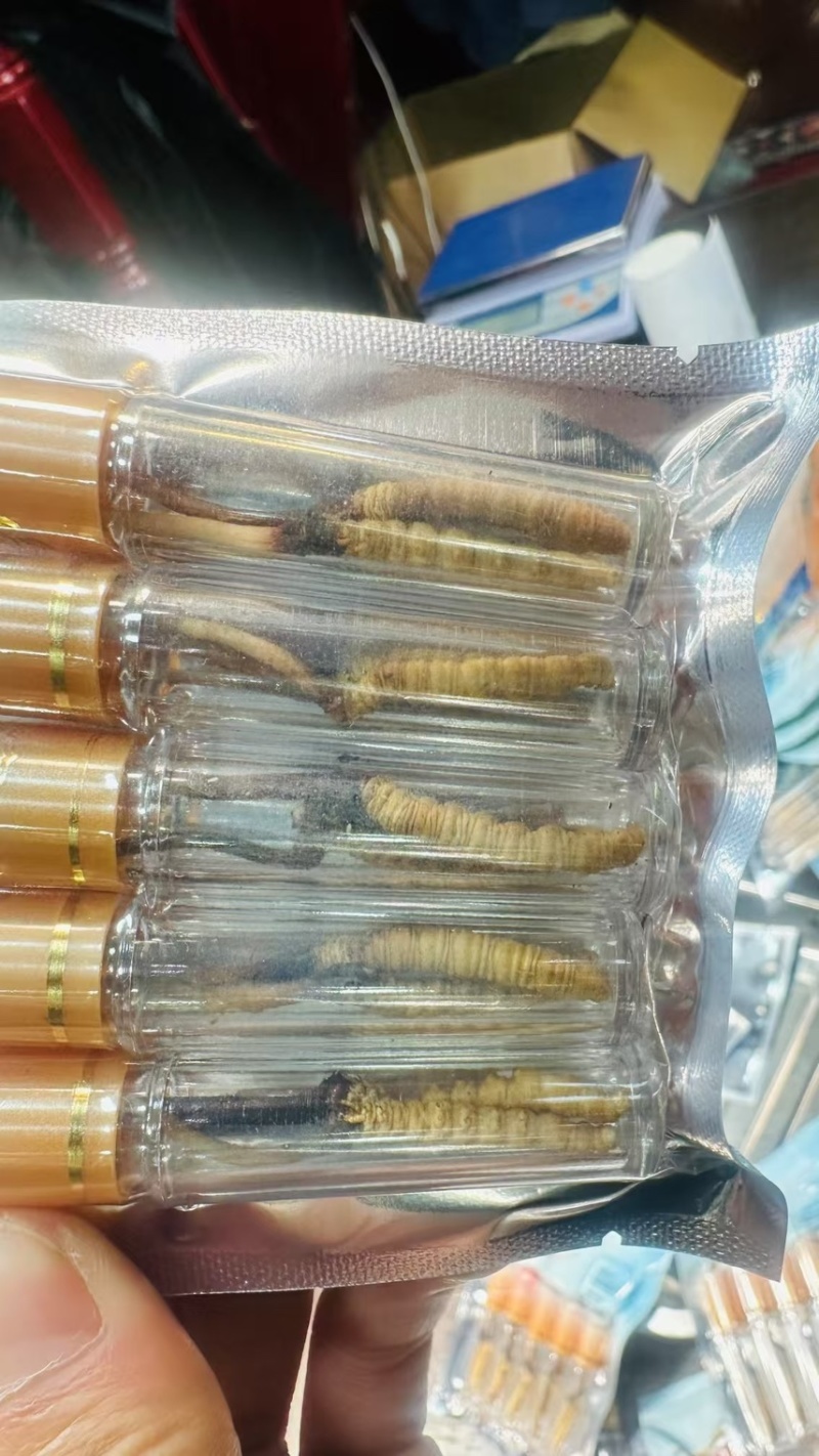 青海祁连网红野生虫草冷运真空，