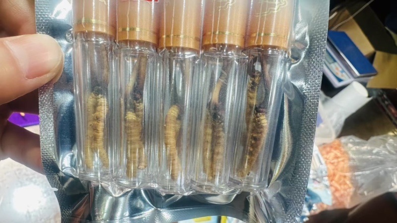 青海祁连网红野生虫草冷运真空，