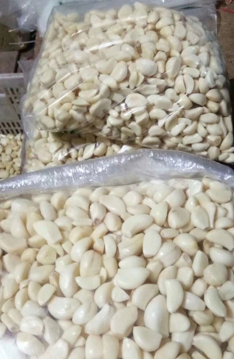 供应不泡水蒜米