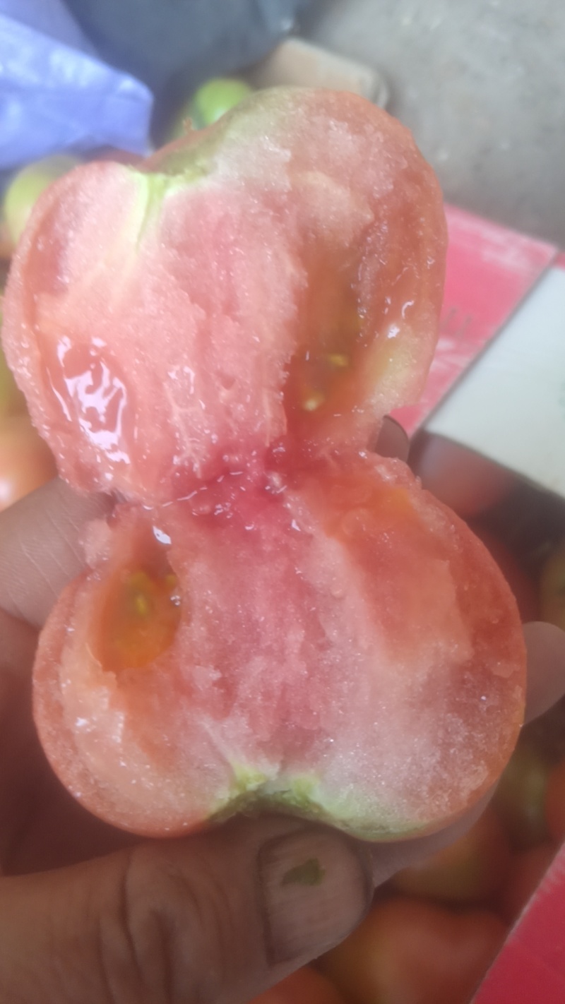 每天供应一千斤