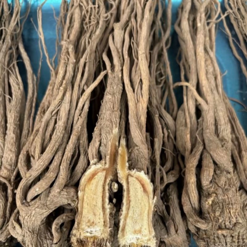 甘肃当归中药根茎中药材优质当归头可视频看货
