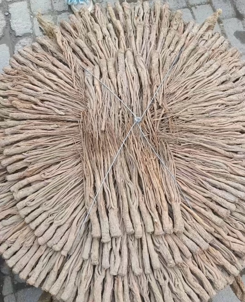 甘肃当归中药根茎中药材优质当归头可视频看货