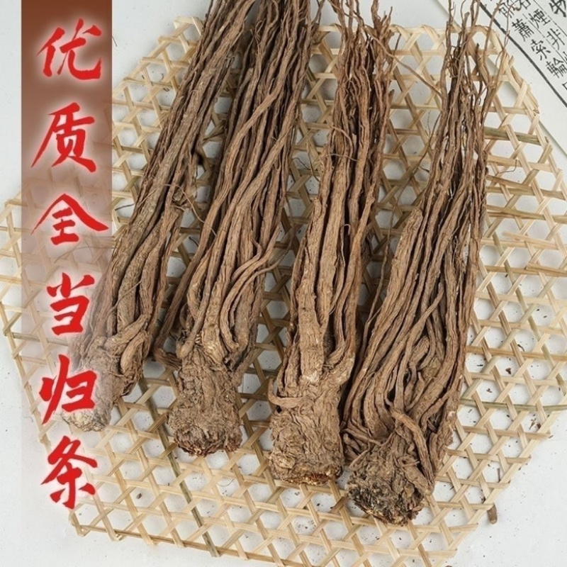 甘肃当归中药根茎中药材优质当归头可视频看货