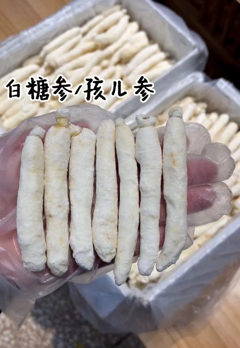 白糖参精品白糖参规格齐全产地直供一手货源欢迎咨询