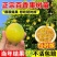 百香果苗钦蜜9号