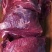 【鹿腿肉】东北现杀梅花鹿腿肉吉林白山临江市大块鹿肉冷链包邮