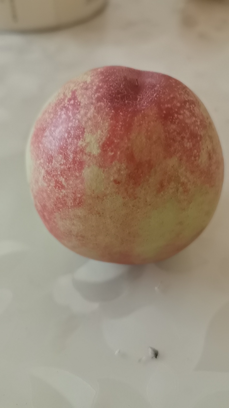 油桃毛桃