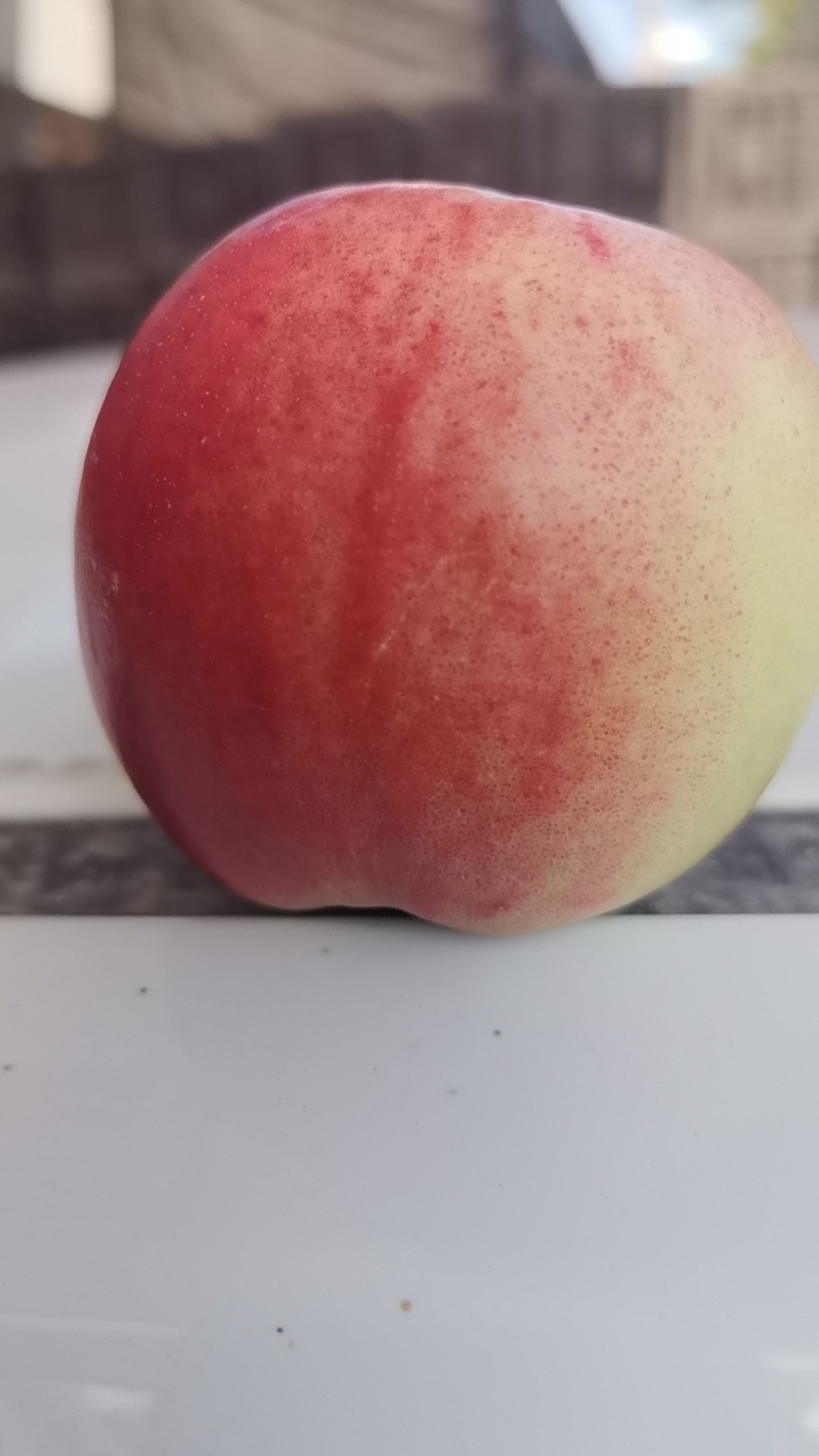 油桃毛桃