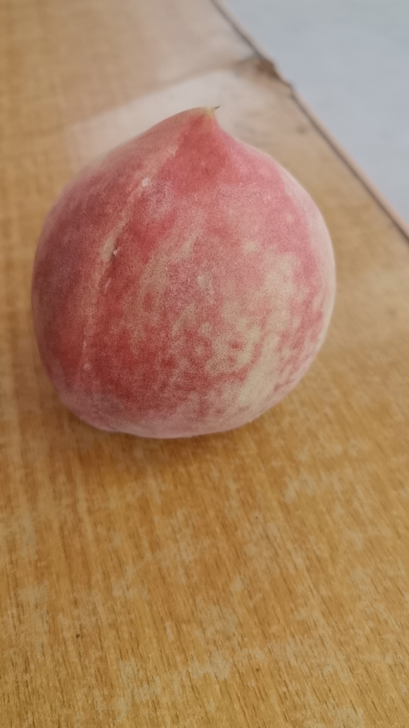 油桃毛桃