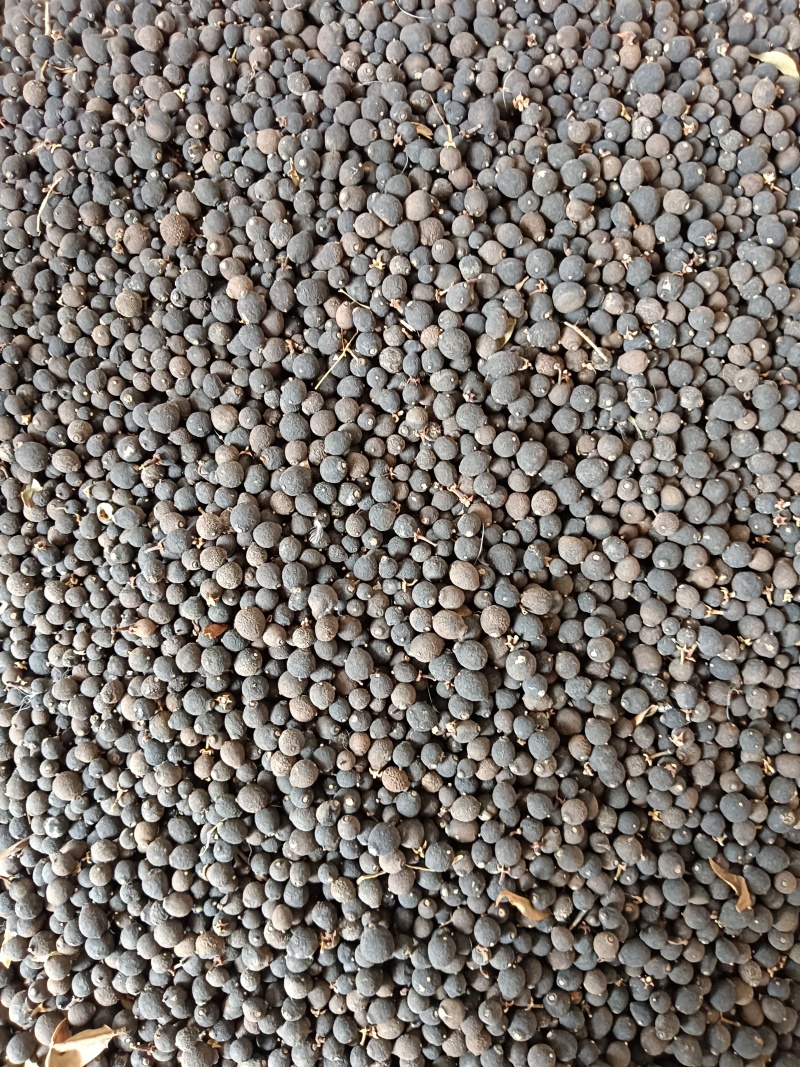 枳实统货大量有货