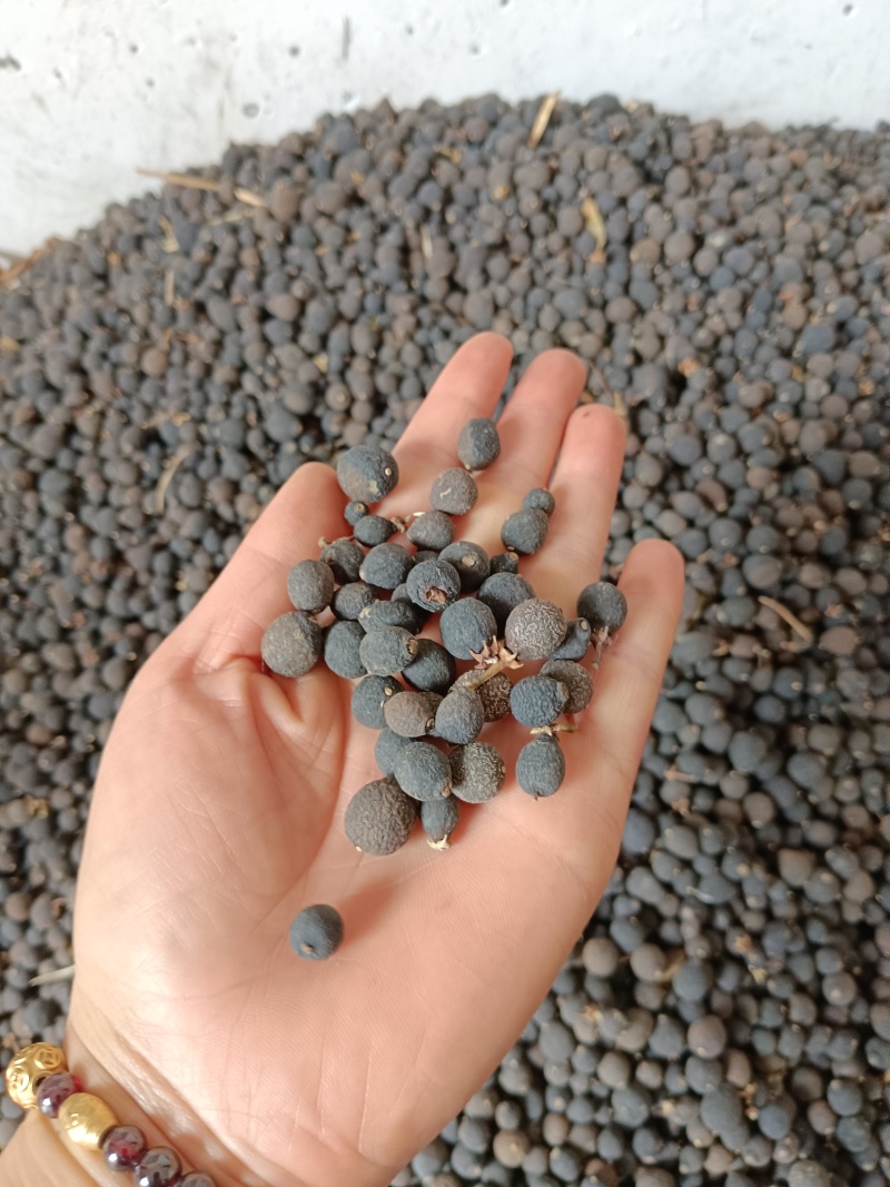 枳实统货大量有货