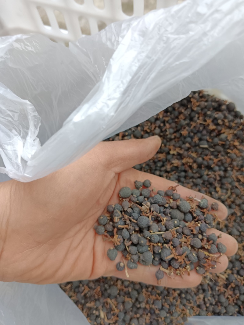 枳实统货大量有货