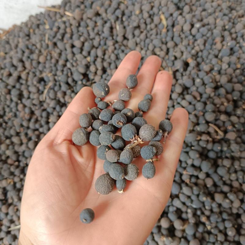 枳实统货大量有货
