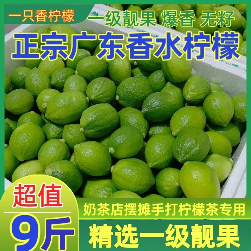 广东香水柠檬一级果无籽爆香新鲜青柠檬奶茶店手打柠檬专用青