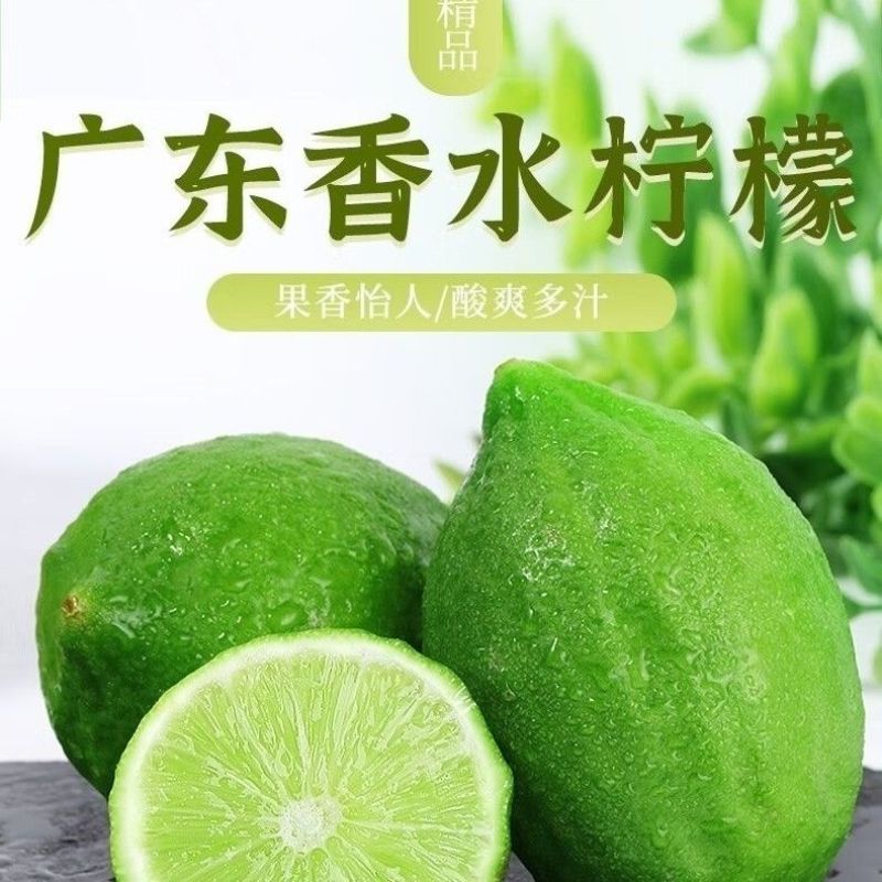 广东香水柠檬一级果无籽爆香新鲜青柠檬奶茶店手打柠檬专用青
