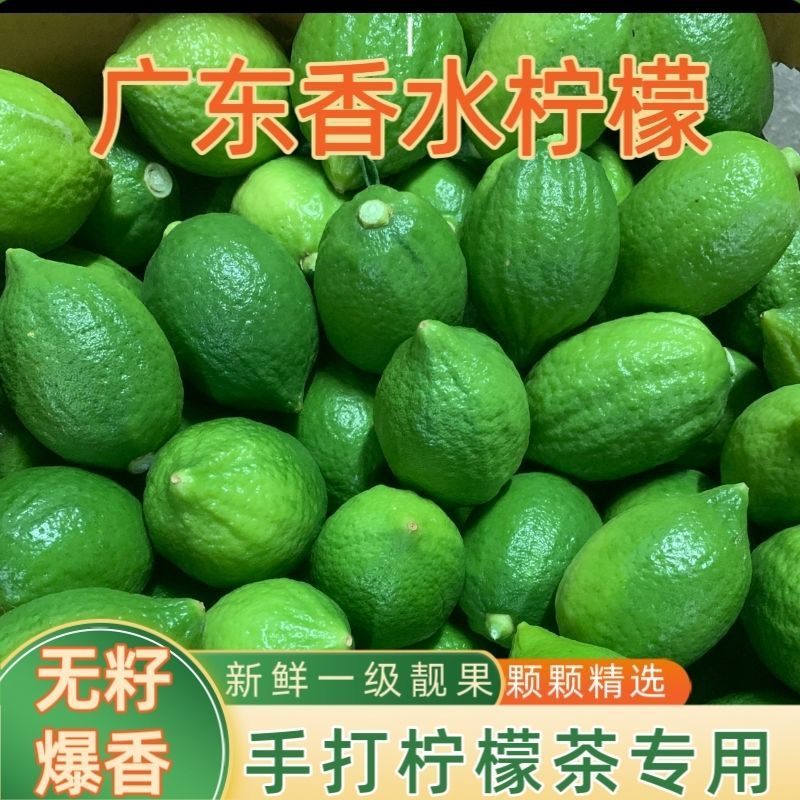 广东香水柠檬一级果无籽爆香新鲜青柠檬奶茶店手打柠檬专用青