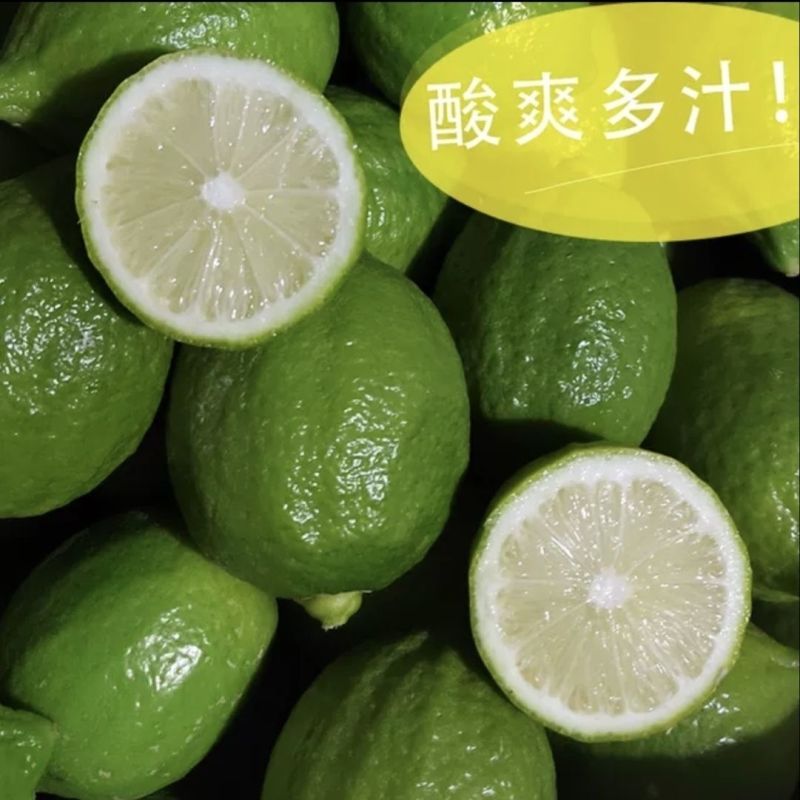广东香水柠檬一级果无籽爆香新鲜青柠檬奶茶店手打柠檬专用青