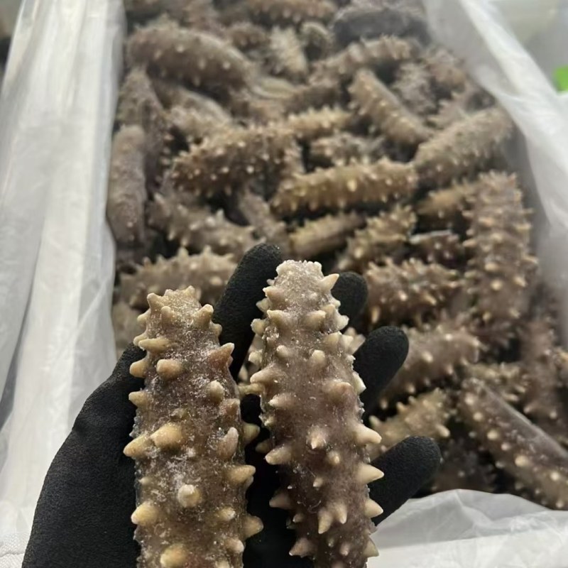 海参38一斤