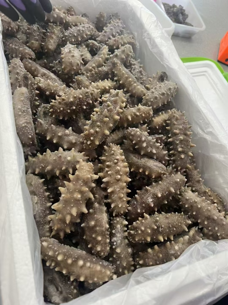 海参38一斤