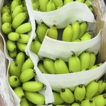 皇帝蕉
