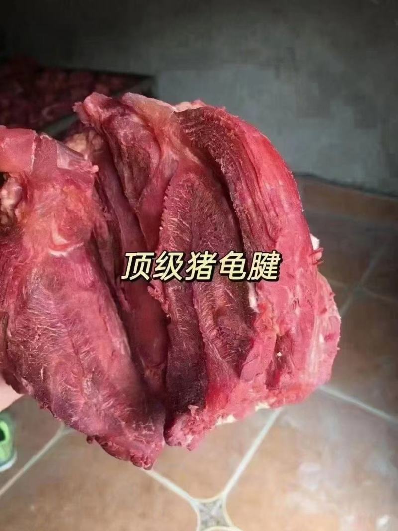 卤猪肉条子腱子小腱中腱龟腱后腱卤腱子块块带筋夏季火爆热销
