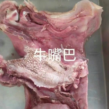 牛拱嘴牛嘴巴熟牛嘴巴牛头肉火烧毛牛拱嘴无碱火烧毛