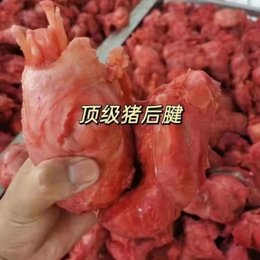 卤猪肉条子腱子小腱中腱龟腱后腱卤腱子块块带筋夏季火爆热销