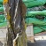 全干海带头半干海带头盐渍海带头海带海带头海带丝干净无沙
