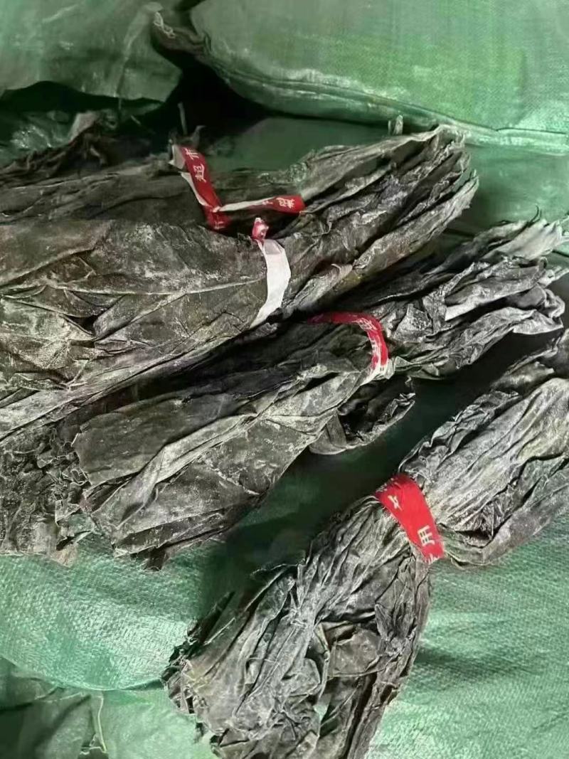 全干海带头半干海带头盐渍海带头海带海带头海带丝干净无沙