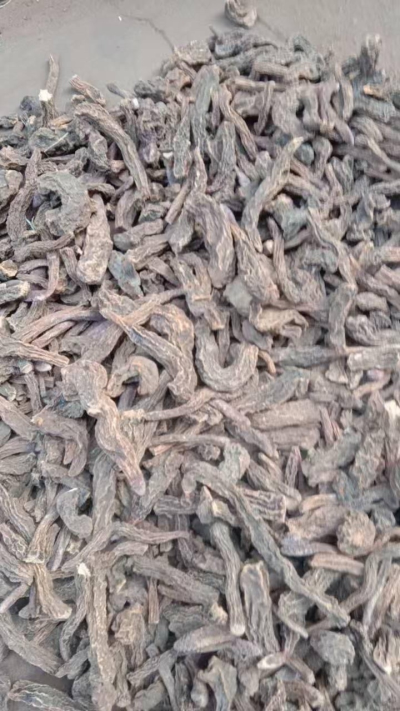 【锁阳】正品锁阳大货供应品质好含量高