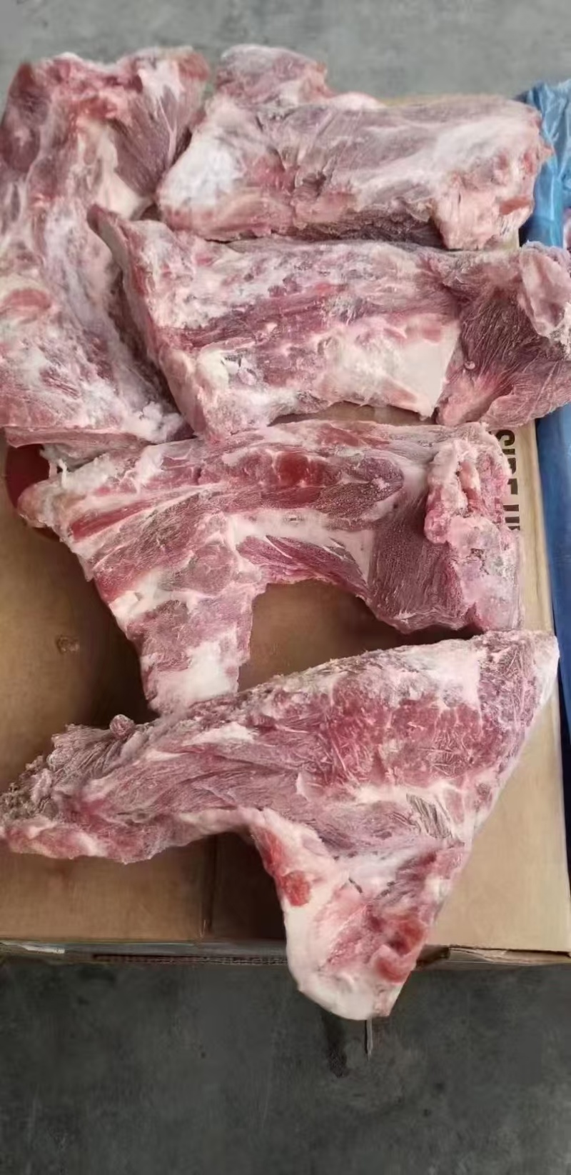 猪颈骨