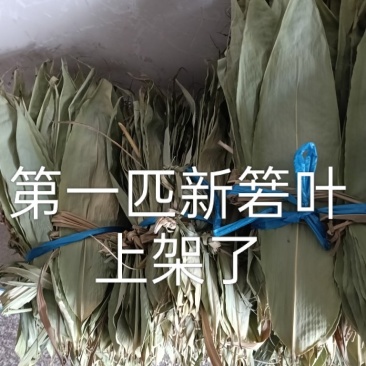 干箬叶