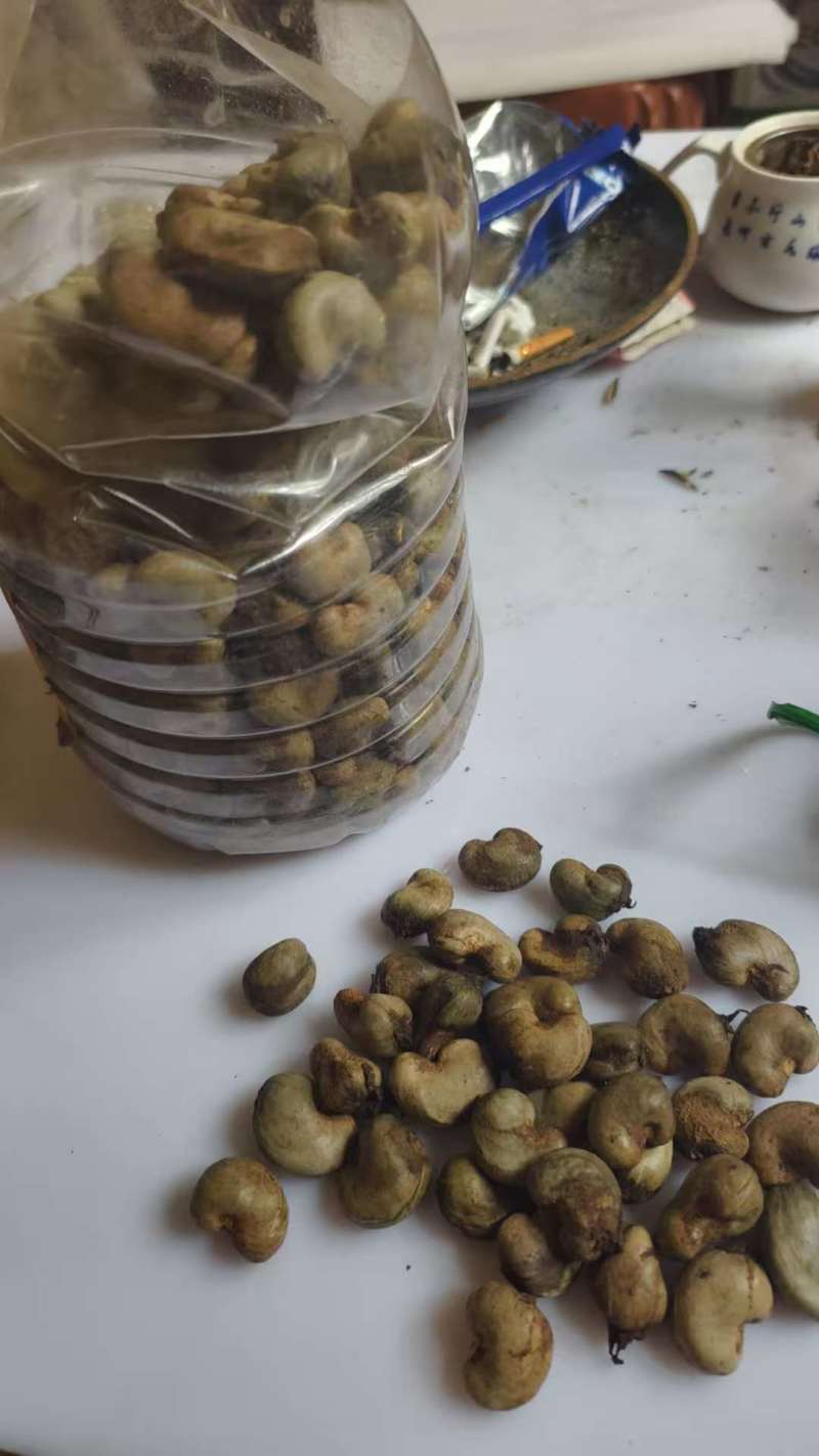 带壳腰果