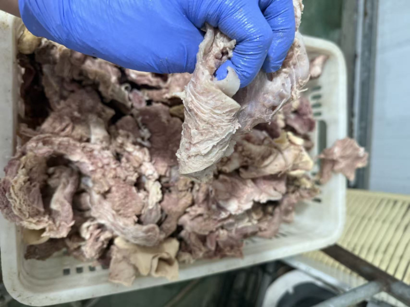 牛肉筋