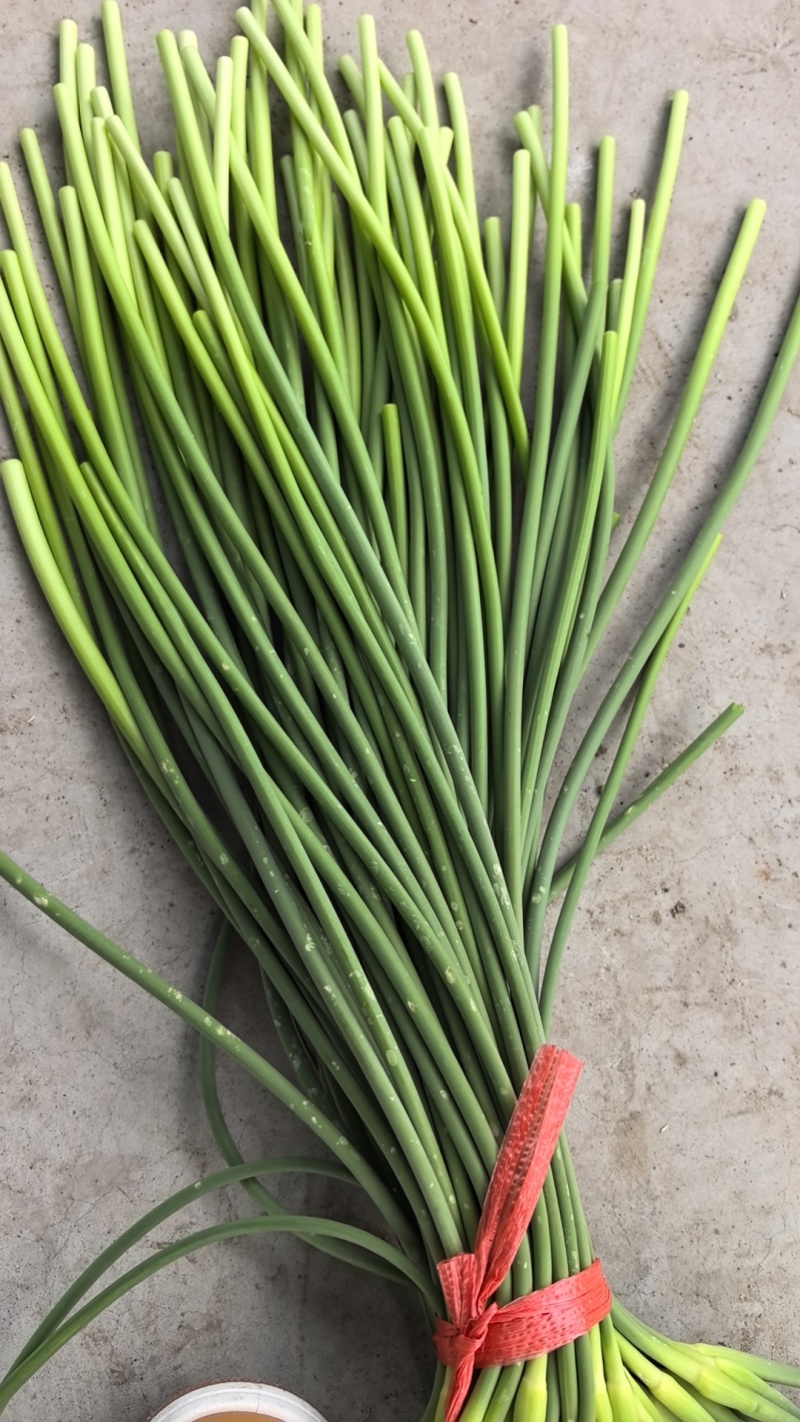 苍山四六瓣蒜薹